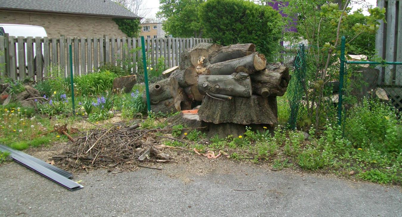clean-up