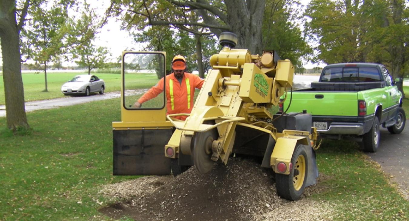 stump grinding