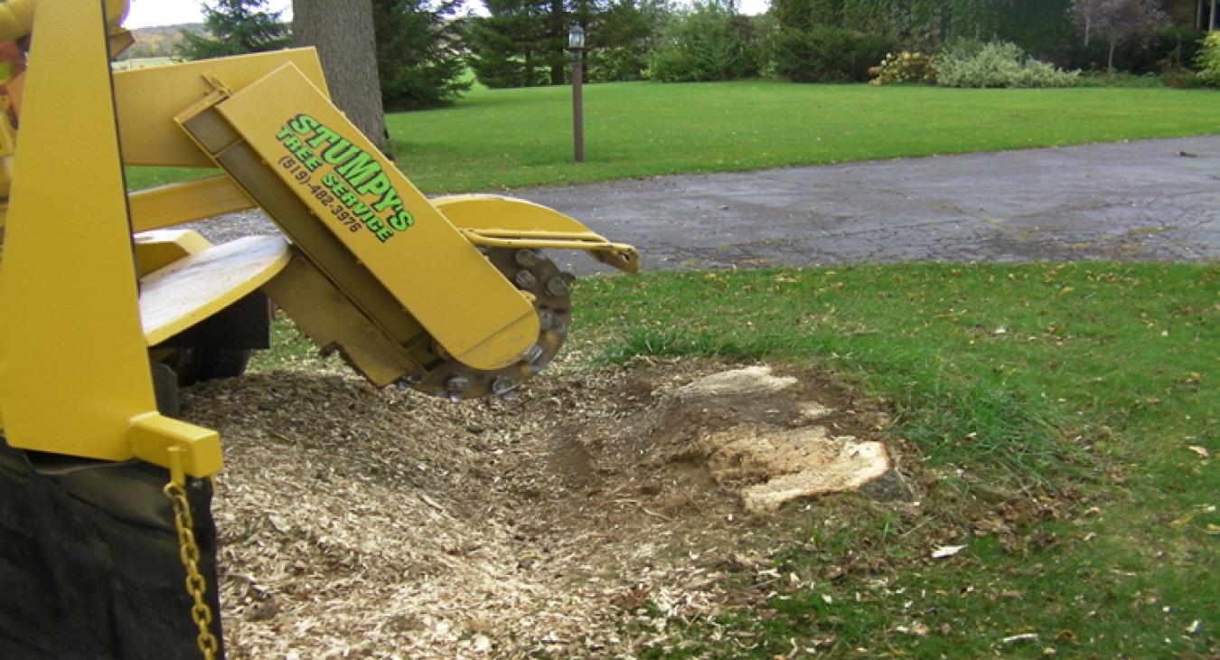 stump grinding